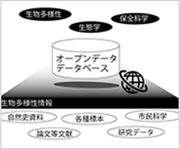 大澤 剛士